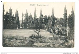 TIPAZA ALGERIE PROPRIETE COULOMBEL CPA BON ETAT