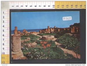 VA2699 ALGERIA  TIPAZA  RUINES  ROMAINE