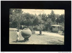 CP  ALGERIE  TIPAZA RUINES ROMAINES