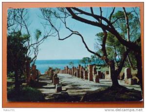 e1-algerie-tipaza-ruines romaines-roman ruins-
