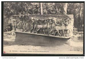 CPA Tipaza, Alter Sarkophag bei einer Ausgrabung gefunden