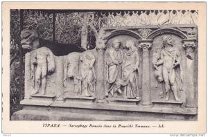 Algérie Tipaza - Sarcophage romain dans la propriété Tremaux