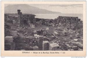 Algérie Tipaza - Ruines de la basilisque Sainte Salsa