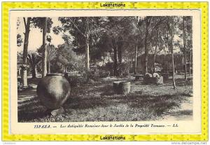 TIPAZA - Antiquités Romaines dans le Jardin de la Propriété Tremaux