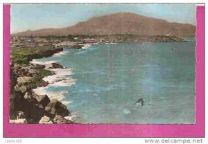 TIPAZA (TIPASA)  -    * VUE GENERALE ET LE CHENOUA *   -   Editeur  PACINI de TIPASA   Nr 203