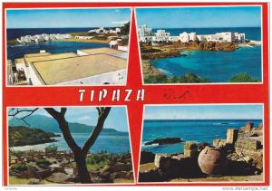 AFRIQUE,FRANCE COLONIES,MAGHREB,TIPAZA,T IPASA,ville cotiere,pres alger,hotel,station balnéaire,chenoua