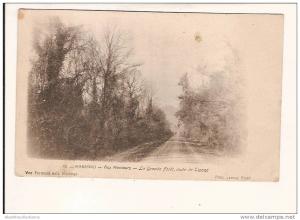 ALGERIE marengo AUX ALENTOURS LA GRANDE FORET ROUTE DE TIPAZA