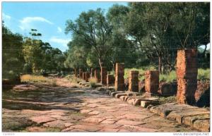 TIPAZA LA ROUTE IMPERIALE ALGER CHERCHELL DU II e SIECLE CPSM PAS CIRCULEE
