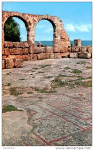 TIPAZA MOSAIQUES DANS LES RUINES DE LA BASILIQUE CHRETIENNE CPSM PAS CIRCULEE