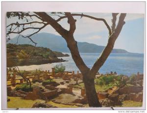 Algérie - Tipaza - Ruines Romaines - Scan recto-verso