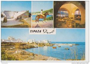 (ALG12) ALGER . TIPAZA