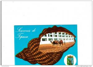 B44518 Tipaza Matares used perfect shape