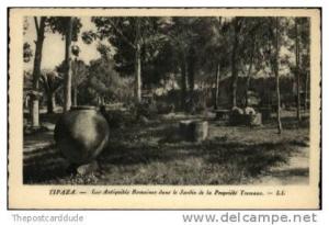 Tipaza Algeria Egypt c1910 Postcard