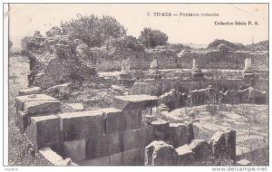 l -  Cpa TIPAZA - Fontaine romaine