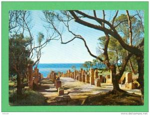 CPSM  ALGERIE  -  TIPAZA  -  634  Ruines Romaines  ( années 60/70 )