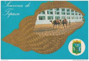 ZS7539 Tipaza not used good shape