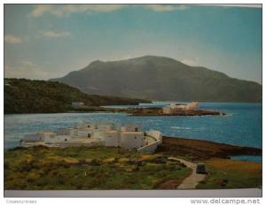 636 TIPAZA  ALGER ALGIERS ALGERIE ARGELIA   POSTCARD   OTHERS IN MY STORE