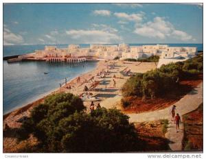 619 TIPAZA  ALGER ALGIERS ALGERIE ARGELIA   POSTCARD   OTHERS IN MY STORE