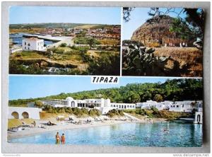 Algérie - CP N° 146F - Tipaza - CPSMG/E en 1972