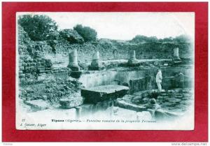 cpa TIPAZA  Fontaine romaine de la propriété Trémaux 2 Scans
