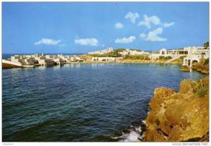 ALGERIE / ALGERIEN    Tipaza  Matares