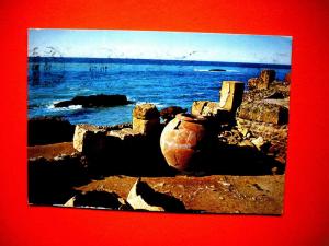 Carte postale  TIPAZA  ruines romaines