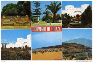 ALGERIE / ALGERIEN   Tipaza     Souvenier de Tipaza