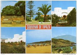 ALGERIE / ALGERIEN   Tipaza     Souvenier de Tipaza