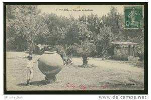 ALGERIE TIPAZA /           Ruines romaines       /