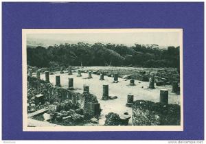 AC341) TIPAZA   ruines romaines  ( TTB état)