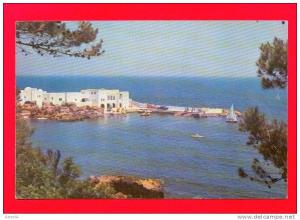 CPSM  ALGERIE  -  TIPAZA  -  102  Tipaza Club