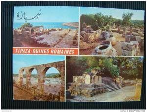 CPSM ALGERIE-Tipaza-Ruines Romaines