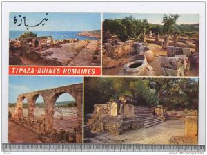 ALGERIE --TIPAZA --RUINES ROMAINES   ---RECTO / VERSO-------b7