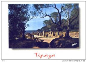 Algérie - Tipaza