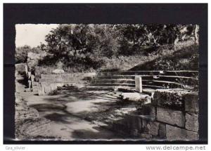 ALGERIE Tipasa (Tipaza) Théatre, Ruines, ed Pacini 213, CPSM 9x14, 195?