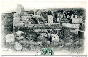 CPA - Tipaza (Algérie) - Intérieur de la Basilique St-Salsa