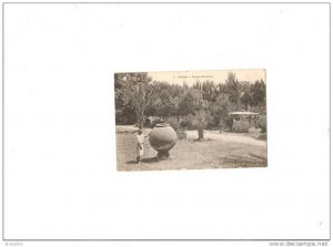 Autres villes. Tipaza   .les ruines romaines.