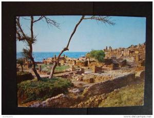 CPSM ALGERIE-Tipaza-Ruines romaines