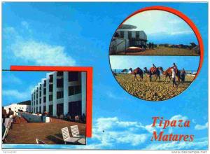 CPM - ALGERIE - TIPAZA MATARES