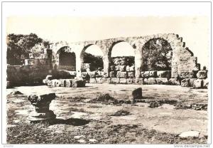 PM- AFRIQUE du NORD - Algérie - TIPAZA - Grande Basilique Romaine