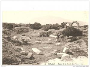 PM- AFRIQUE du NORD - Algérie - TIPAZA - ruines de la Grande Basilique