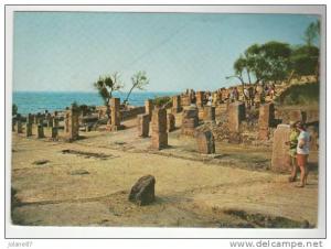 CPM ALGERIE TIPAZA LES RUINES ROMAINES ANIM2E