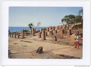 ALG.13 ALGERIE  /  TIPAZA   /  Ruines Romaines