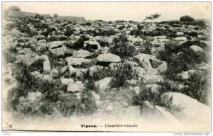 TIPAZA / CIMETIERE ROMAIN/