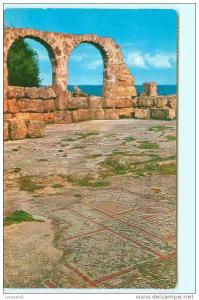 TIPAZA / Mosaïques dans les Ruines de la Basilique Chrétienne