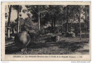tipaza-les antiquités romaines dans le jardin de la propriété tremaux