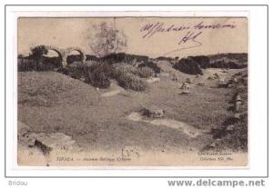 Algérie  TIPAZA   Ancienne basilique urbaine