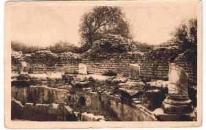 TIPAZA - Le Nymphéa (coté droit)