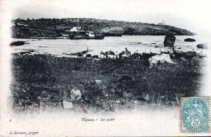 ALGERIE.Tipaza.Le port.Carte Geiser.
