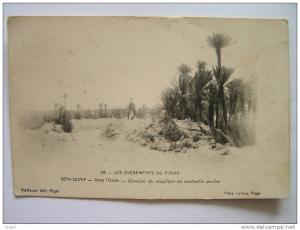 cpa, très belle vue animée, les évènements du Figuig, Beni Ounif, dans l'oasis, cavalier du maghzenn en sentinelle perdu